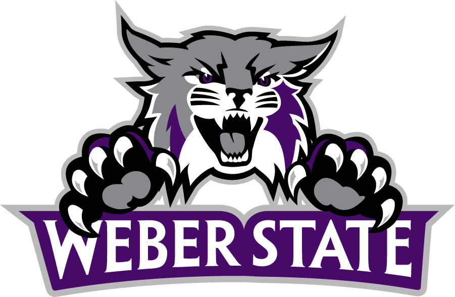 Weber State Wildcats 2012-Pres Secondary Logo v5 iron on transfers for clothing